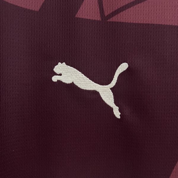 CAMISA MANCHESTER CITY AWAY 2024 TORCEDOR - Image 6