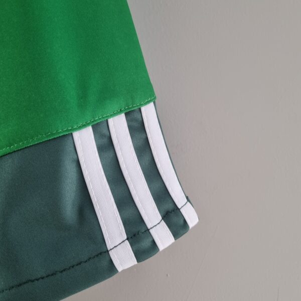CAMISA PALMEIRAS 2010 2011 RETRO - Image 7